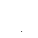 cactobets